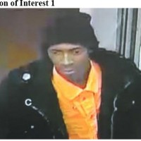 Person of Interest 1 Person of Interest 1