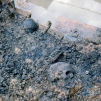 dry bones