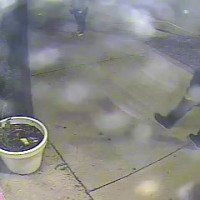 Suspect 2