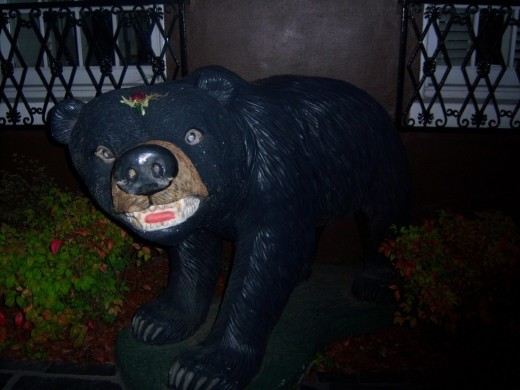 Da bear