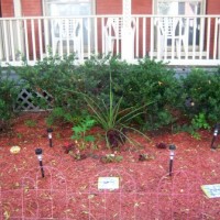 Plant a Little Garden 2 Plant a Little Garden 2