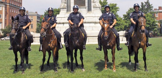 Richmond Police horses Richmond Police horses